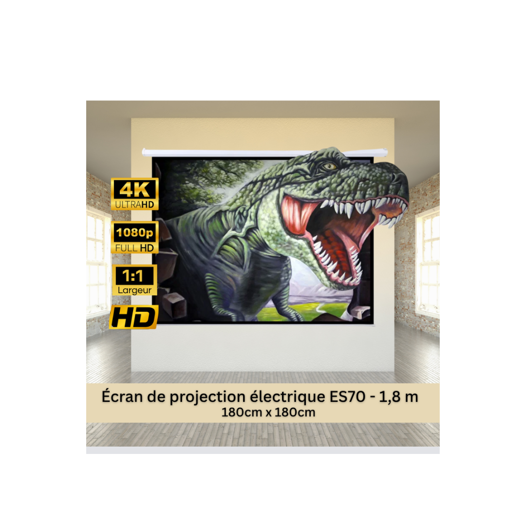 insights image